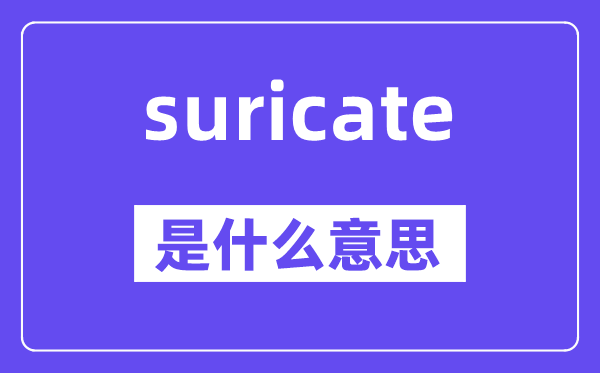 suricate是什么意思,suricate怎么读,中文翻译是什么