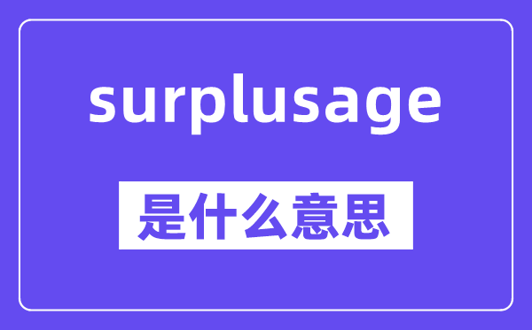 surplusage是什么意思,中文翻译是什么