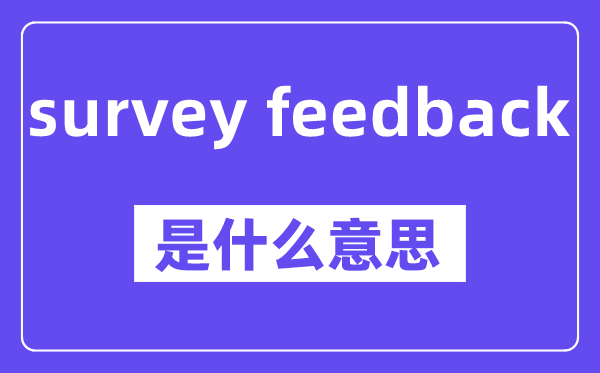 survey feedback是什么意思,中文翻译是什么