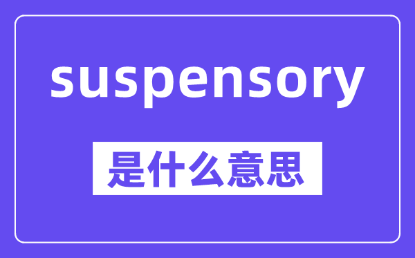 suspensory是什么意思,中文翻译是什么