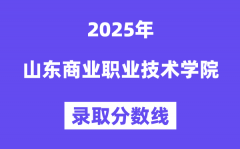 2025山东商业职业技术学院录取