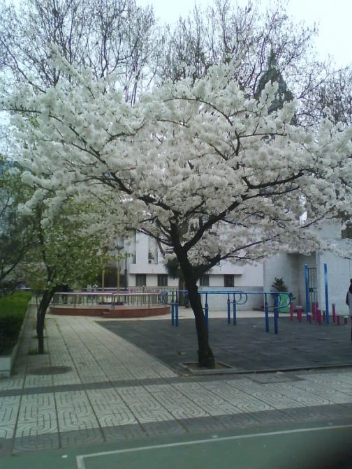 南京第九中学简介概况（建校历史、地址、师资、校训、环境）