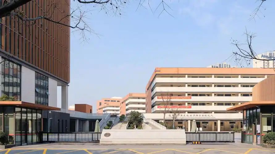 南京河西外国语学校在南京的排名第几,南外属于什么档次？