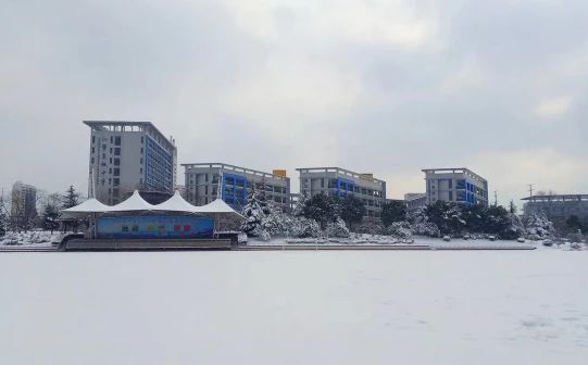 南京市江宁高级中学在南京的排名第几,南外属于什么档次？