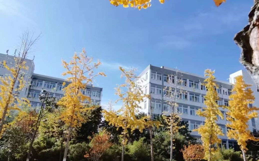 南京市六合实验高级中学在南京的排名第几,南外属于什么档次？