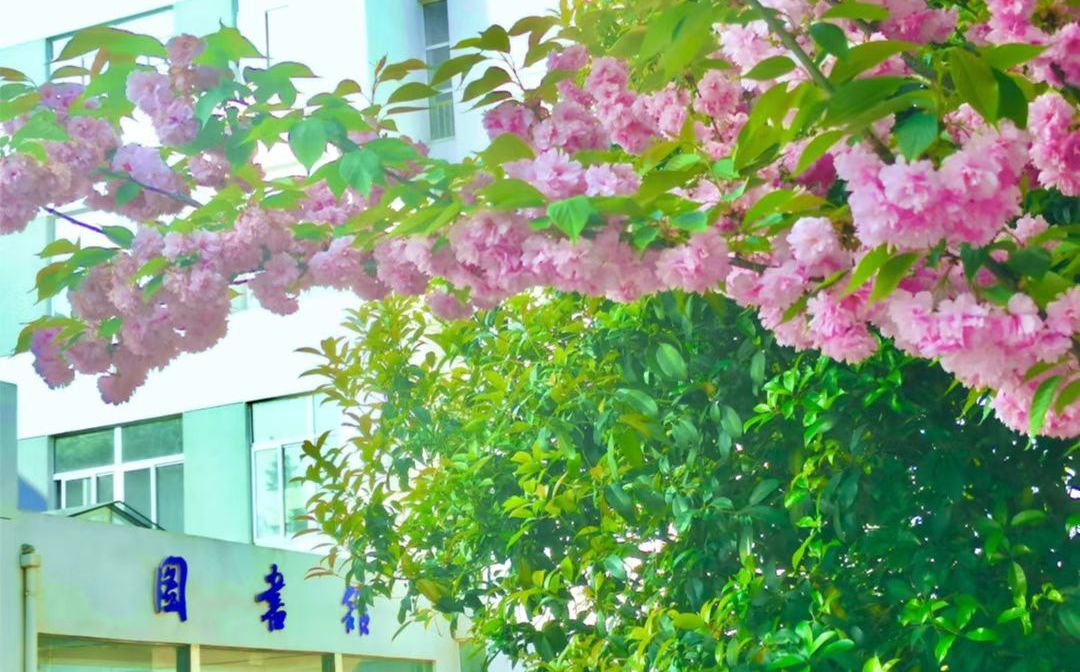 南京市六合实验高级中学位置在哪里_在哪个区？