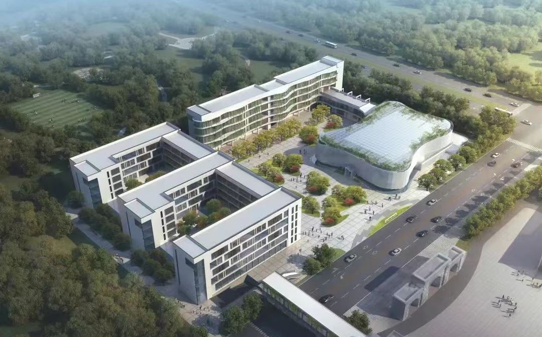 南京市高淳区湖滨高级中学在南京的排名第几,南外属于什么档次?