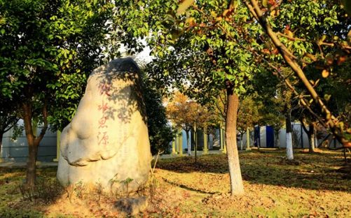 西安交通大学苏州附属中学简介概况（建校历史、地址、师资、校训、环境）