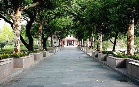 杭州高级中学在杭州的排名第几,属于什么档次？