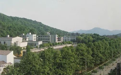 浙江大学附属中学有几个校区_分别在哪？