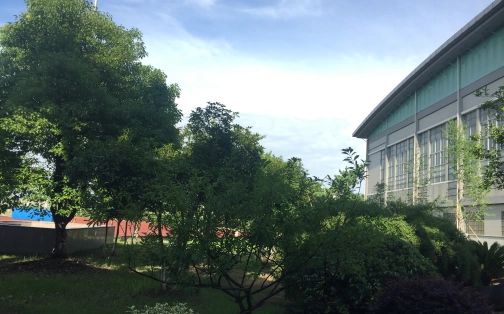 杭州市夏衍中学简介概况（建校历史、地址、师资、校训、环境）