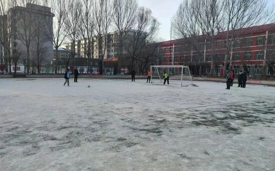 哈尔滨市双城区兆麟中学是公立还是私立,是重点中学吗？