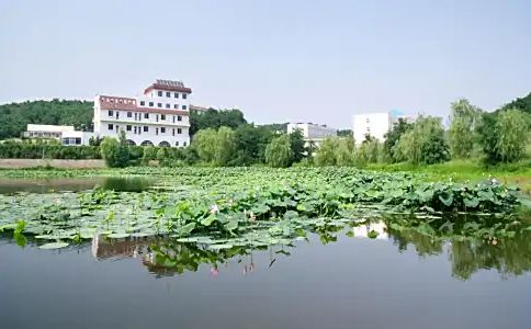 沈阳市第二十中学简介概况（建校历史、地址、师资、校训、环境）