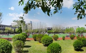 沈抚育才实验学校在沈阳的排名第几,属于什么档次？