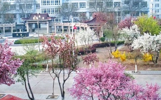 天津市静海区第一中学简介概况（建校历史、地址、师资、校训、环境）
