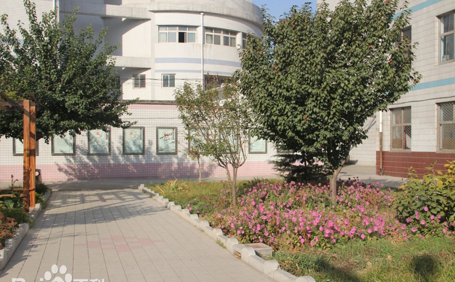 石家庄市藁城区第九中学校区在哪_在什么区？