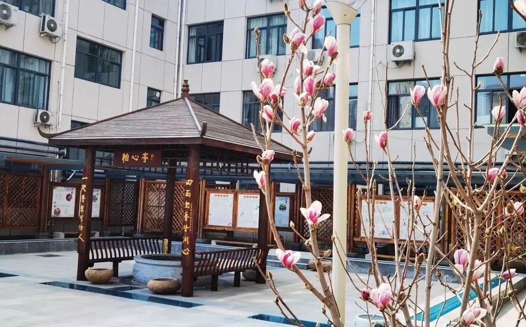 山东省济南第十一中学简介概况（建校历史、地址、师资、校训、环境）