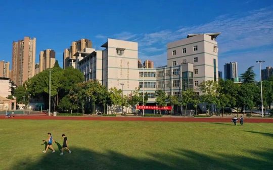 武汉市第十七中学校区在哪_在什么区？