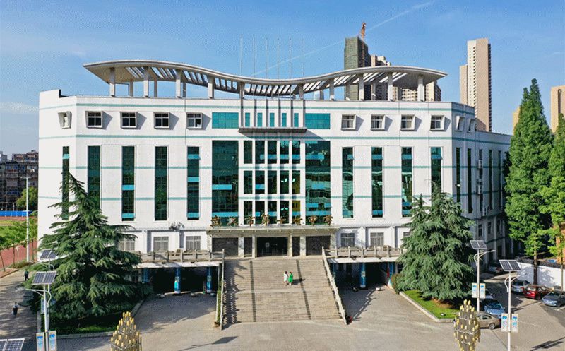 武汉市第十七中学是公立还是私立,是重点中学吗？