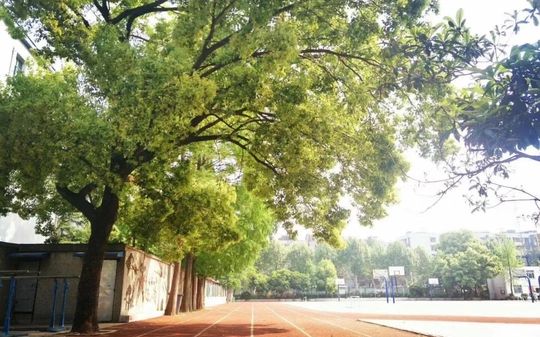 武汉市第二十六中学是公立还是私立,是重点中学吗？