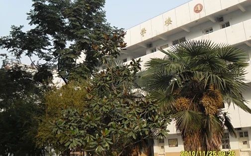 武汉市第三中学在武汉的排名第几,属于什么档次?