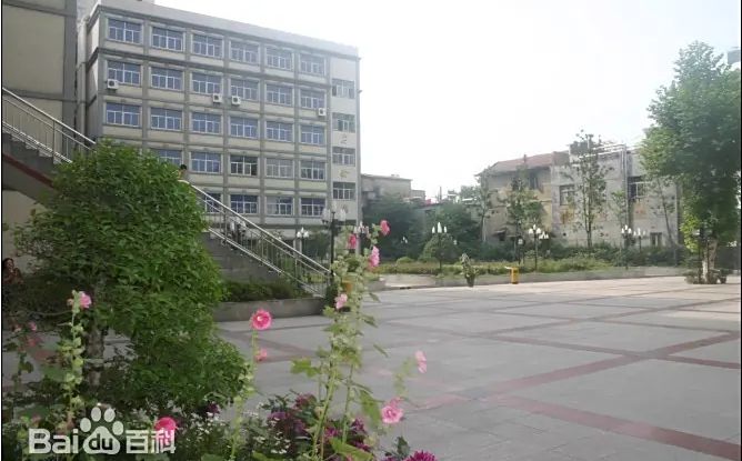 武汉市第十五中学在武汉的排名第几,属于什么档次？