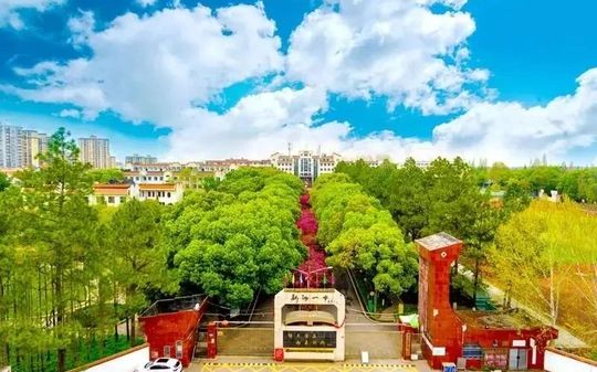 武汉市新洲区第一中学在武汉的排名第几,属于什么档次？