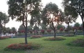 武汉市新洲区第四中学校区在哪_在什么区？