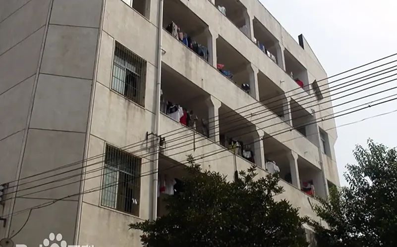 武汉市新洲区城关高级中学校区在哪_在什么区？