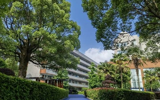 麓山国际实验学校在长沙的排名第几,属于什么档次？