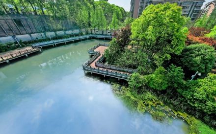 长沙市南雅中学是公立还是私立,是重点中学吗？