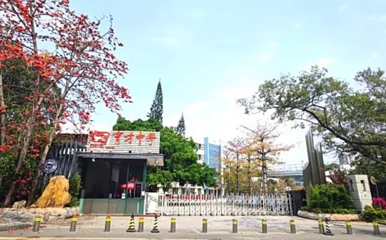 深圳育才中学是公立还是私立,是重点中学吗?