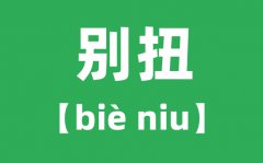 别扭怎么读拼音是什么_别扭的意