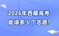 2026年西藏可以填多少个高考志愿_各批次