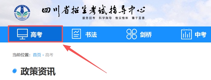 2026年四川省招生考试指导中心官方网站高考成绩查询入口（http://www.sceeic.cn）