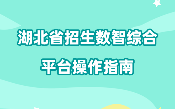 2026年湖北省招生数智综合平台怎么用（附平台操作指南）