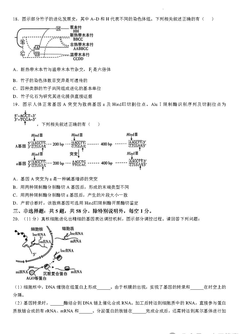2026年江苏高考生物试卷真题及答案