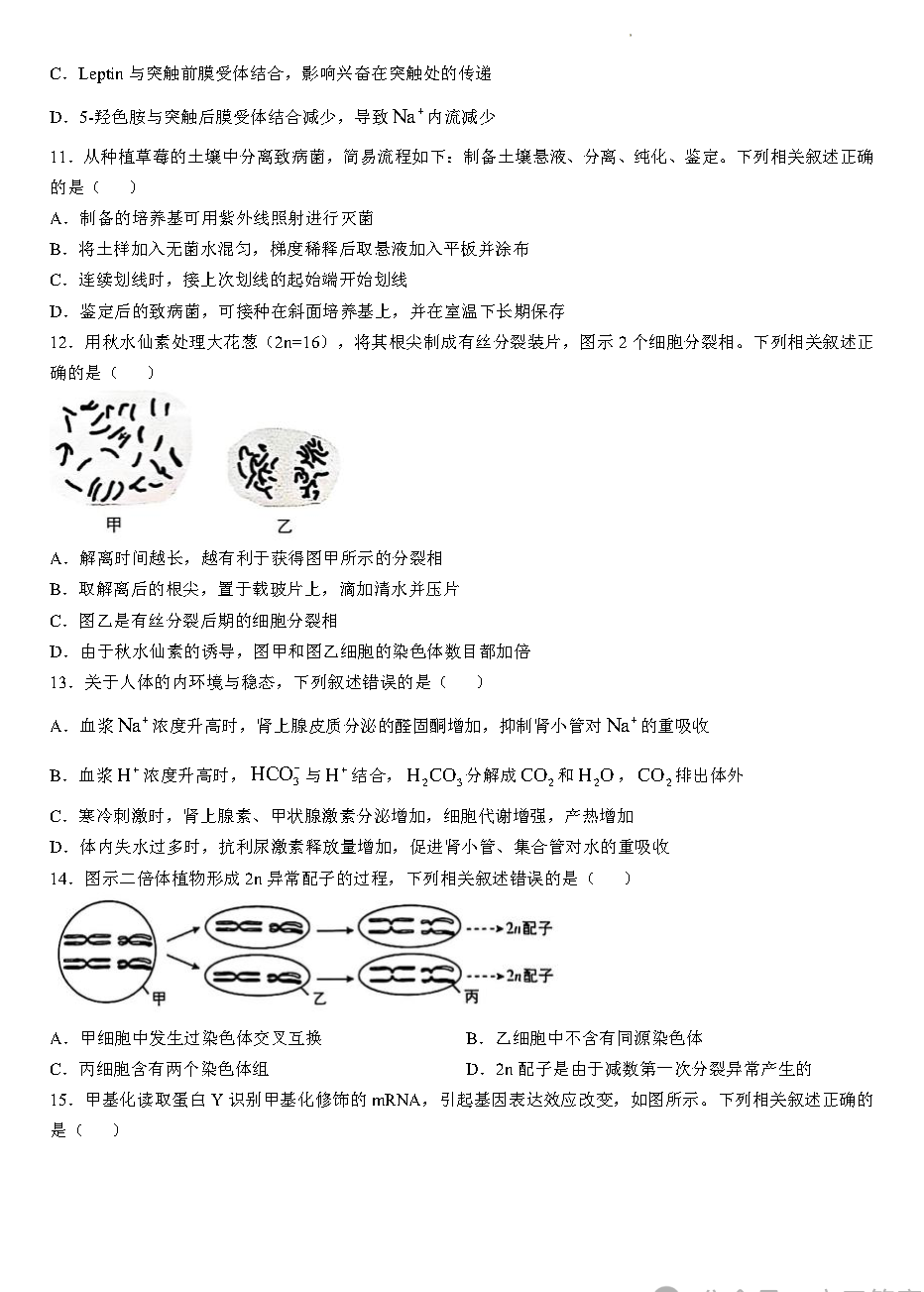 2026年江苏高考生物试卷真题及答案