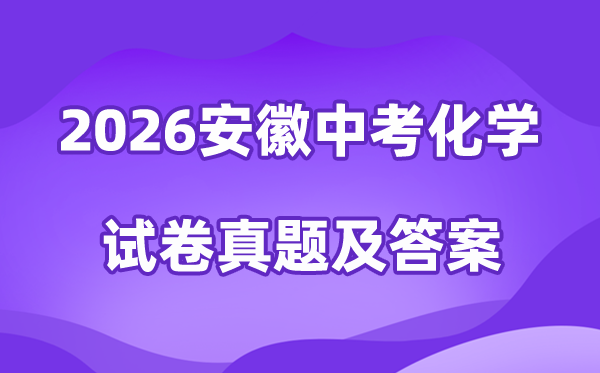2026年安徽中考化学试卷真题及答案