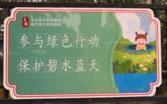 校园文化墙板报设计展示